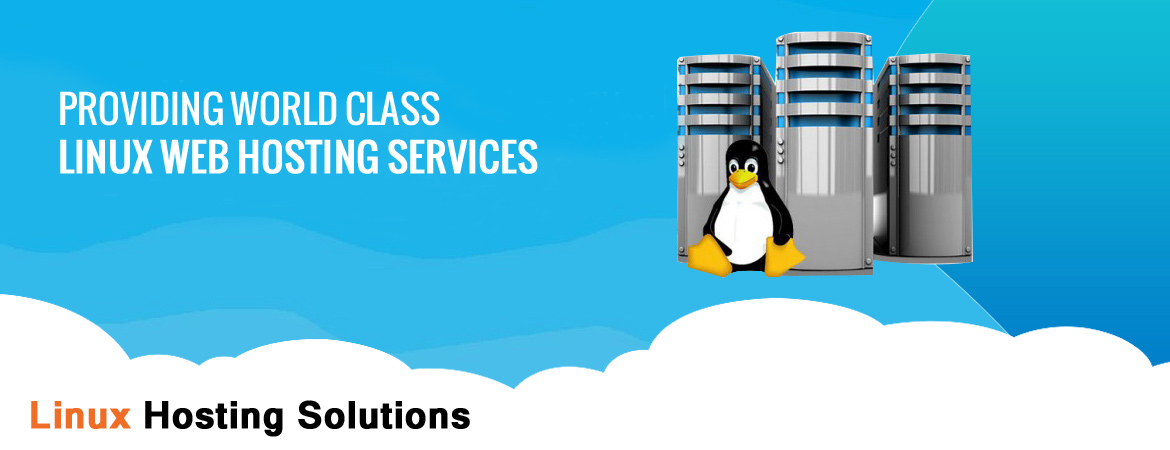 linux web hosting services